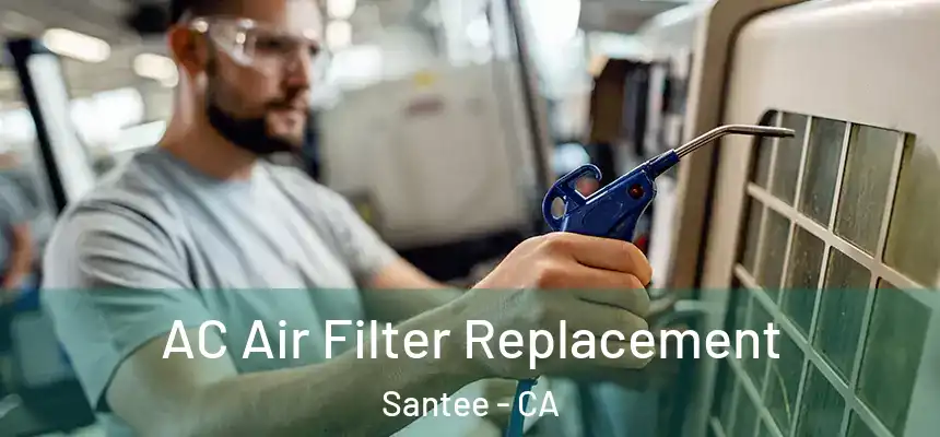  AC Air Filter Replacement Santee - CA