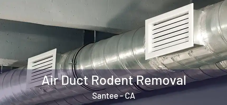  Air Duct Rodent Removal Santee - CA