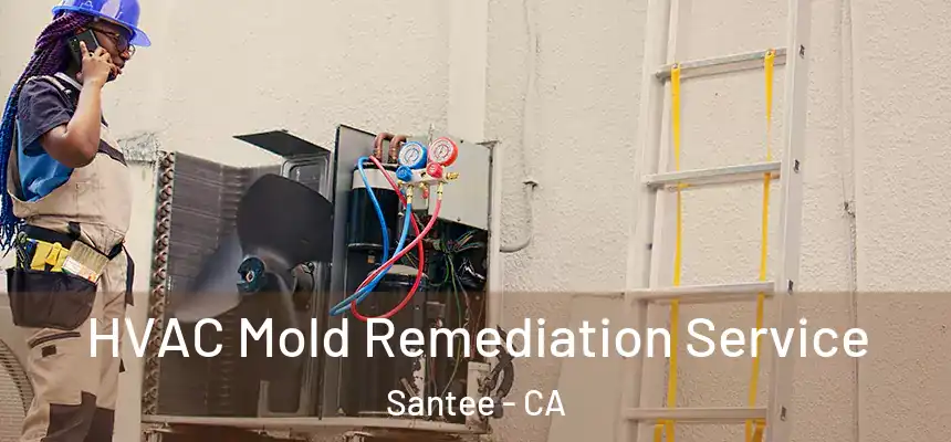  HVAC Mold Remediation Service Santee - CA