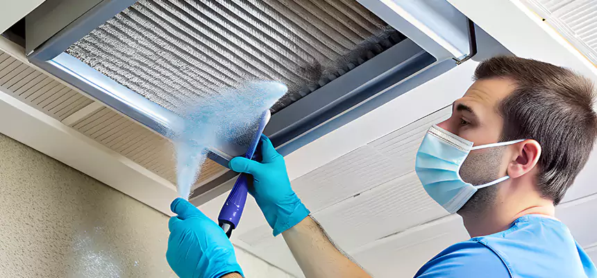Proactive Dryer Vent & Auxiliary Duct Pollen Cleanup in Santee, CA