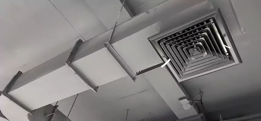 Restorative Allergy Relief Vent Cleaning – Coil, Blower & Housing Detail in Santee