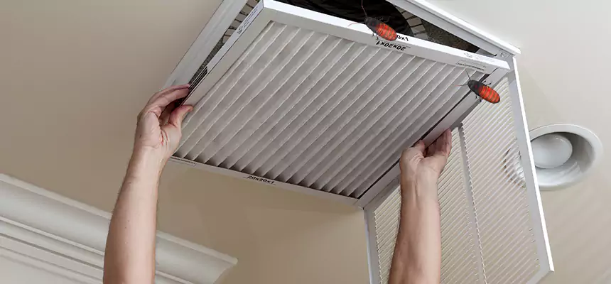 Our Insect Removal from Air Ducts Services in Santee, CA