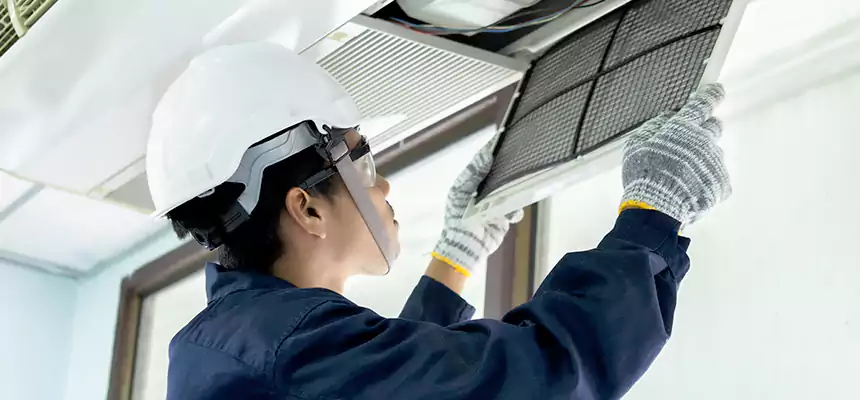 Our Mold & Mildew Removal from Air Ducts Services in Santee, CA