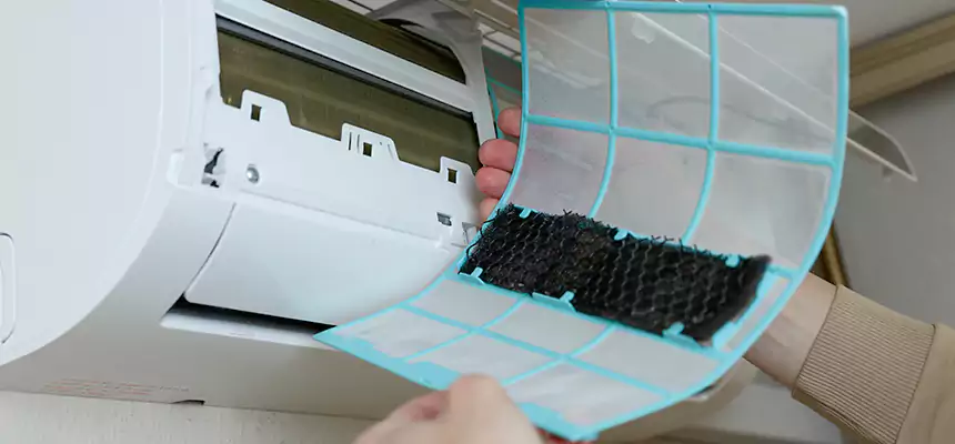 Gentle Ductwork Odor-Control Pet Dander Duct Cleaning in Santee, CA