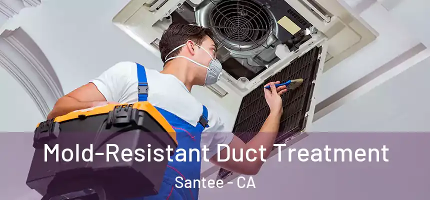  Mold-Resistant Duct Treatment Santee - CA