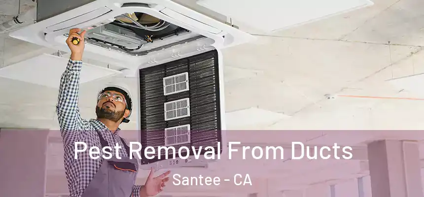  Pest Removal From Ducts Santee - CA
