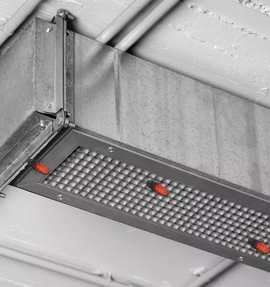 About Air Duct Cockroach Removal in Santee, CA