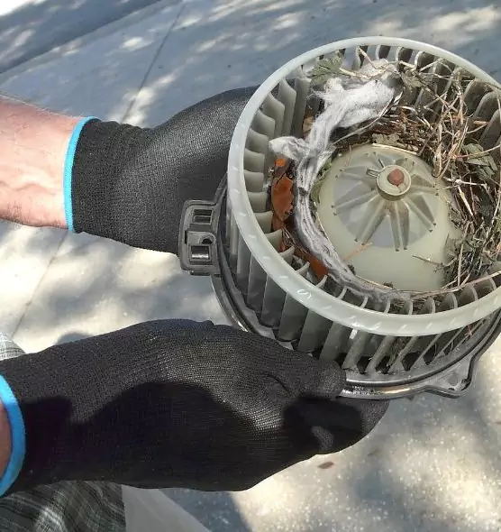 About Air Duct Rat Removal in Santee, CA