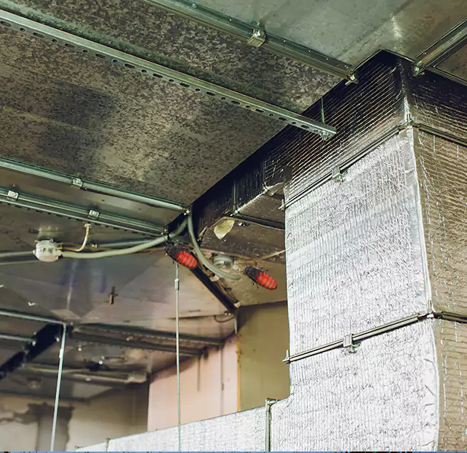 Why Homeowners & Businesses Trust Us in Santee, CA?