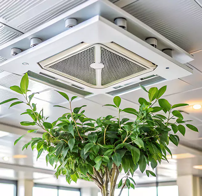 Why Homeowners & Businesses Trust Us in Santee, CA?